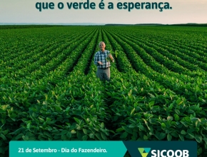 Homenagem aos que semeiam ideias para o progresso. Juntos a gente faz mais. Cliente: @sicoobcredivass.