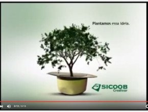 VT Sicoob