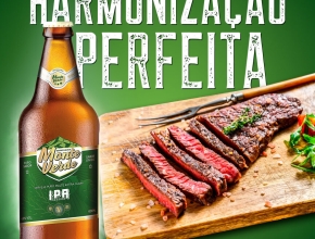 Posts criados para a @cervejariamonteverde. 