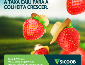 Campanha para Credivass