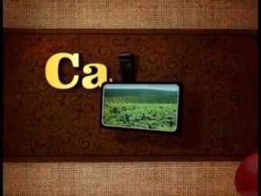 TV Alterosa - Café com TV